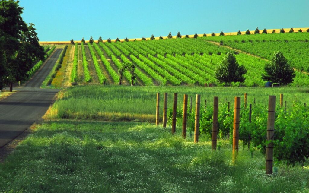romantic-getaways-in-washington-walla-walla-wine-valley
