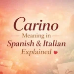 carino-definition