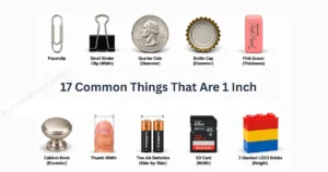 how-long-is-1-inch